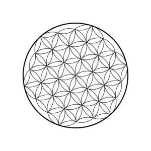 A basic image of the flower of life.